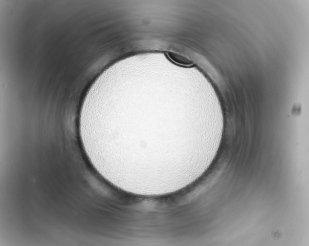 X0000103170441200809192120