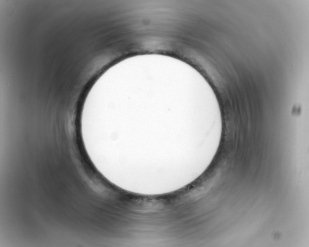 X0000103170443200809192120