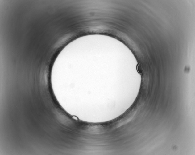 X0000103170446200809192120