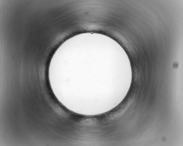 X0000103170447200809192120