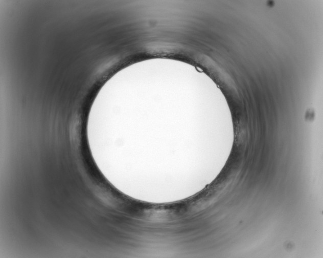 X0000103170448200809192120