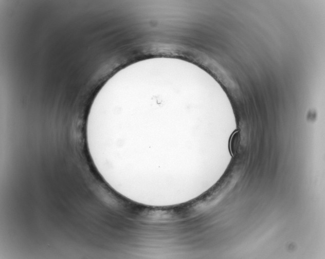 X0000103170449200809192120