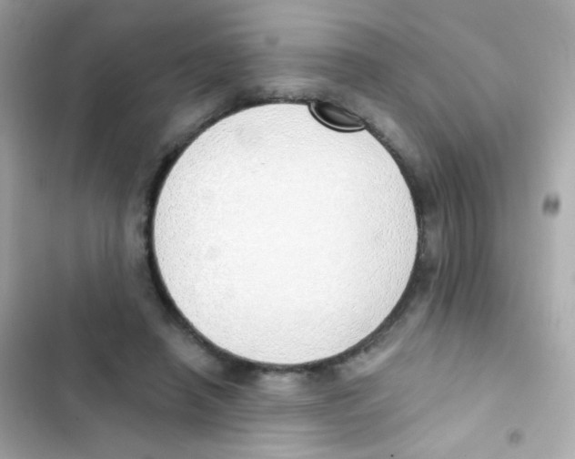 X0000103170450200809192120