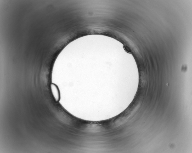 X0000103170451200809192120