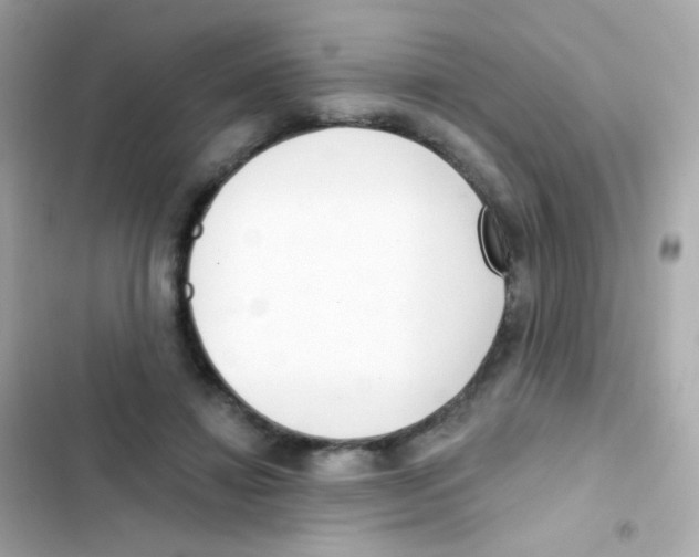 X0000103170452200809192120