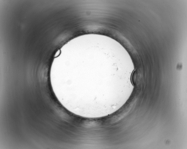 X0000103170454200809192120