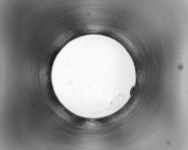 X0000103170455200809192120