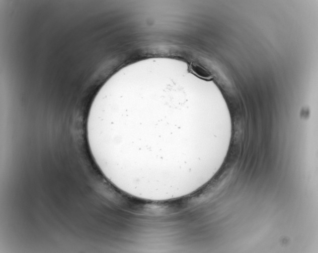 X0000103170457200809192120