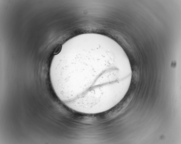 X0000103170458200809192120