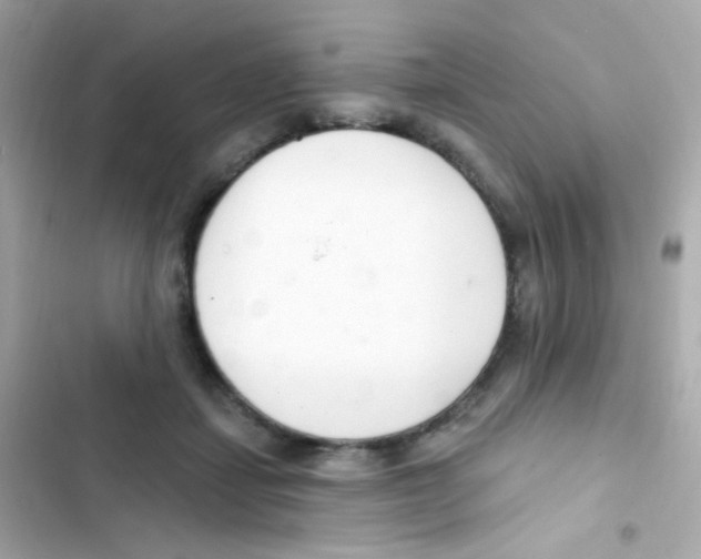 X0000103170459200809192120