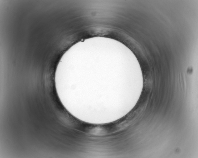 X0000103170460200809192120