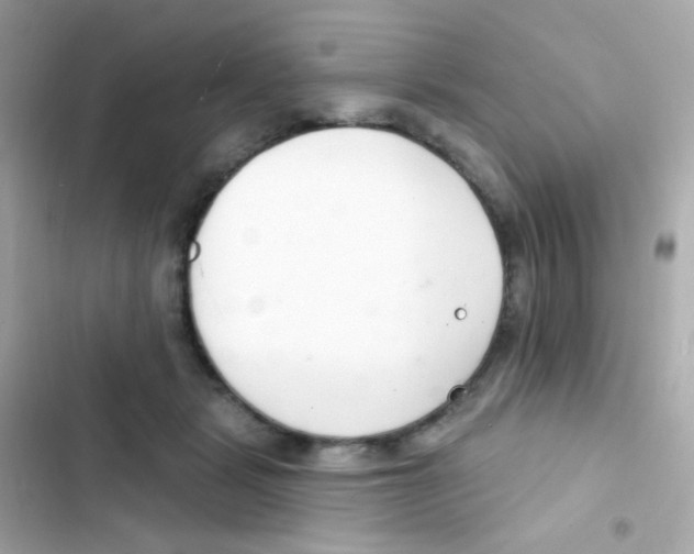 X0000103170461200809192120