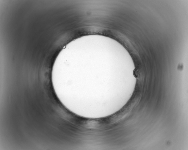 X0000103170462200809192120