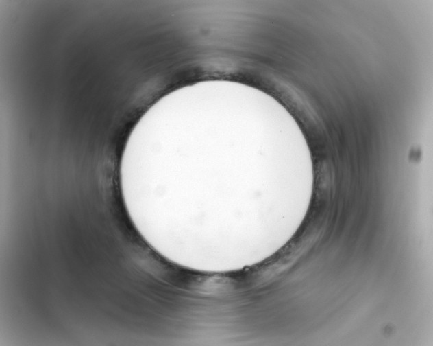 X0000103170463200809192121