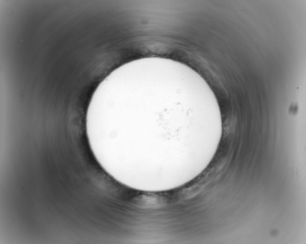 X0000103170464200809192121