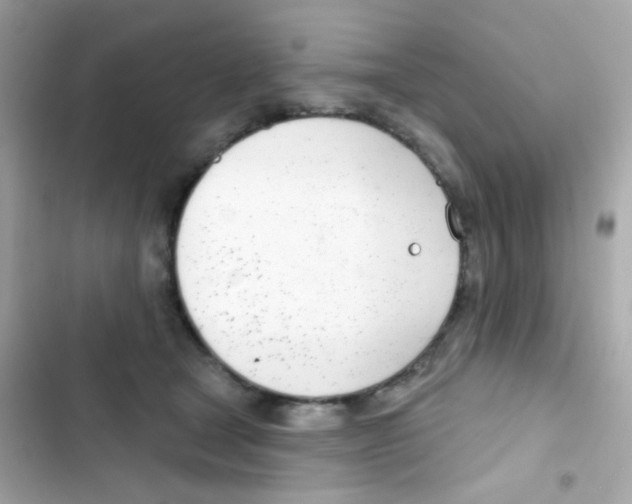 X0000103170465200809192121