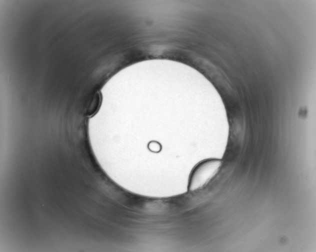 X0000103170470200809192121