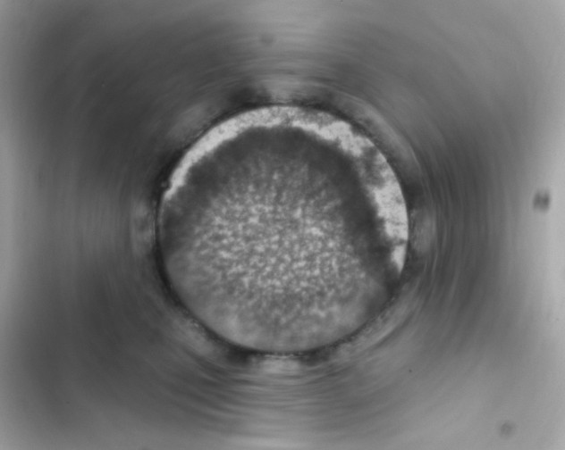 X0000103170471200809192121