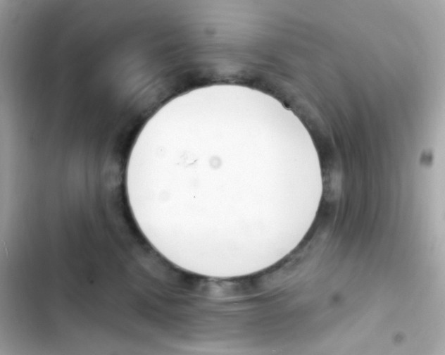 X0000103170472200809192121