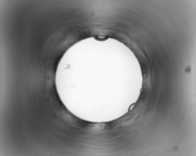 X0000103170474200809192121