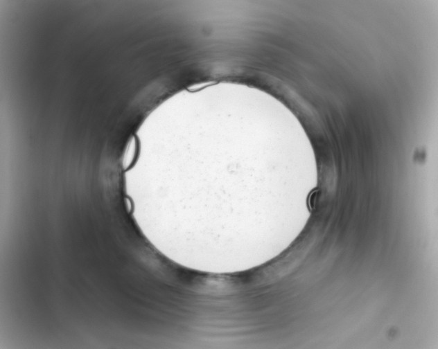 X0000103170475200809192121