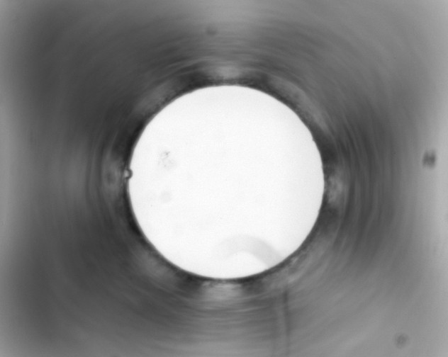 X0000103170476200809192121