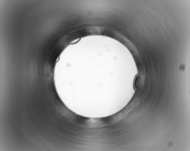 X0000103170477200809192121