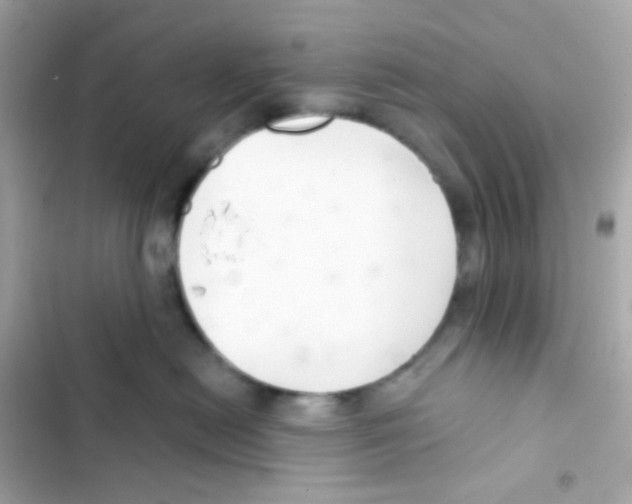 X0000103170478200809192121