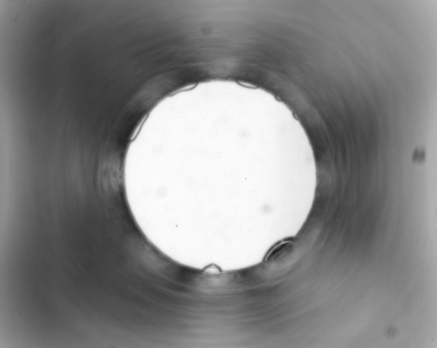 X0000103170479200809192121