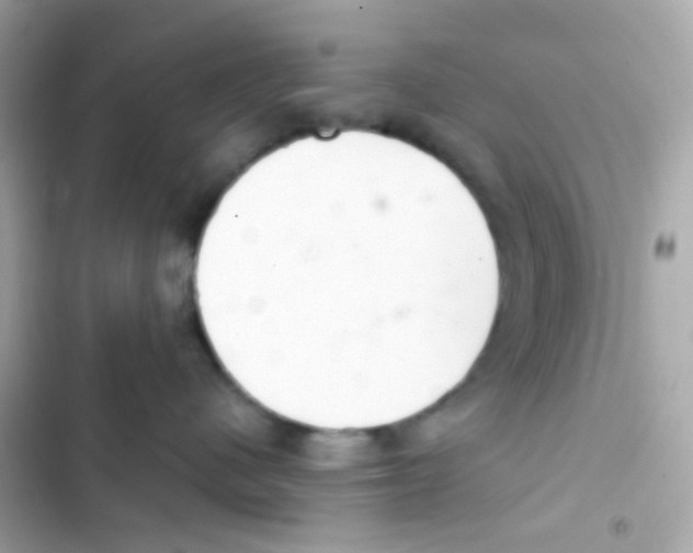 X0000103170480200809192121