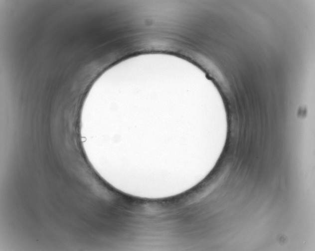 X0000103170481200809192120