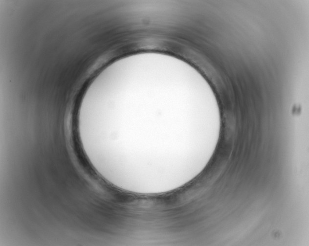 X0000103170482200809192120