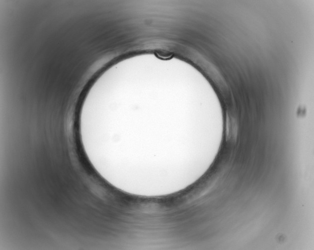 X0000103170483200809192120