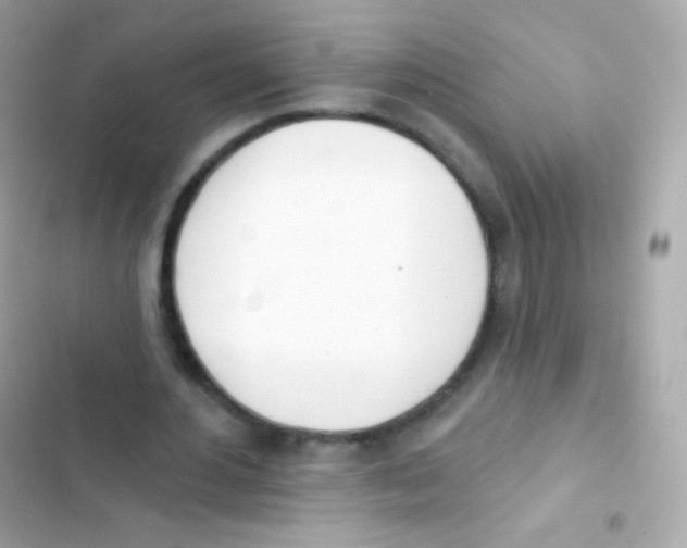 X0000103170484200809192120