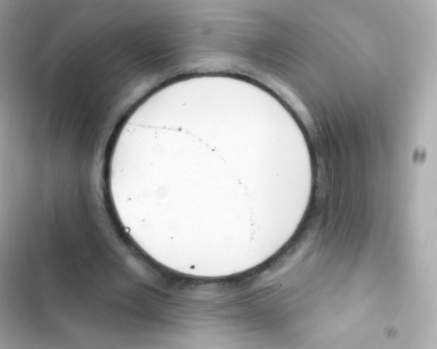 X0000103170485200809192120