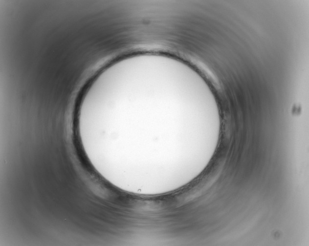 X0000103170486200809192120