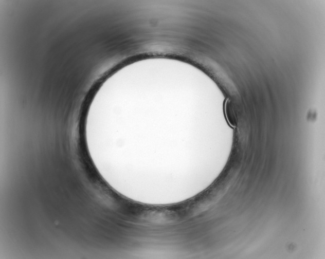 X0000103170488200809192120