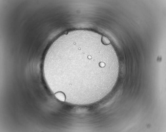 X0000103170491200809192120