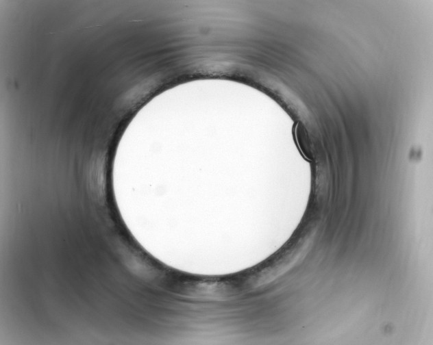 X0000103170493200809192120