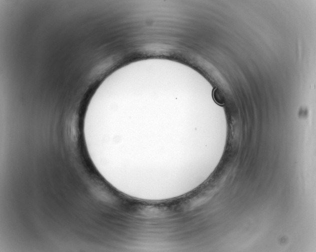 X0000103170494200809192120