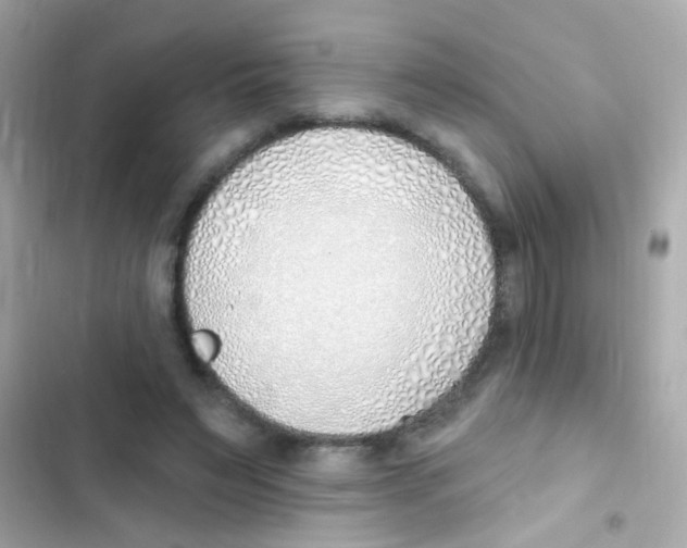 X0000103170495200809192120