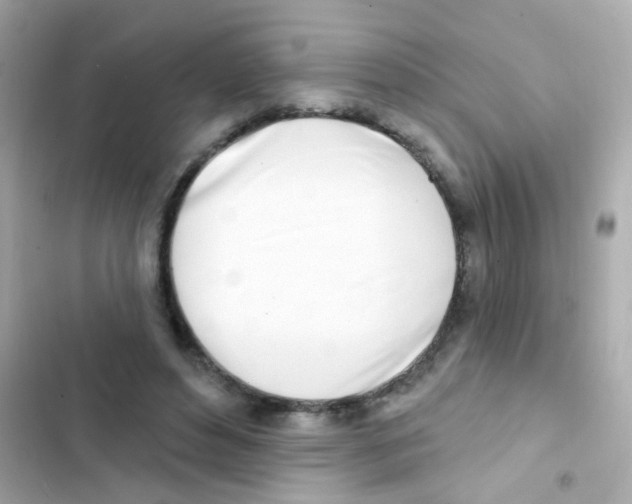 X0000103170496200809192120