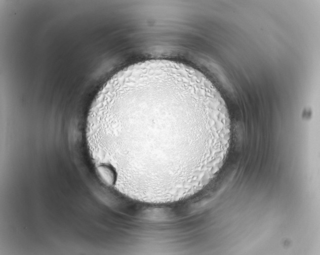 X0000103170499200809192120