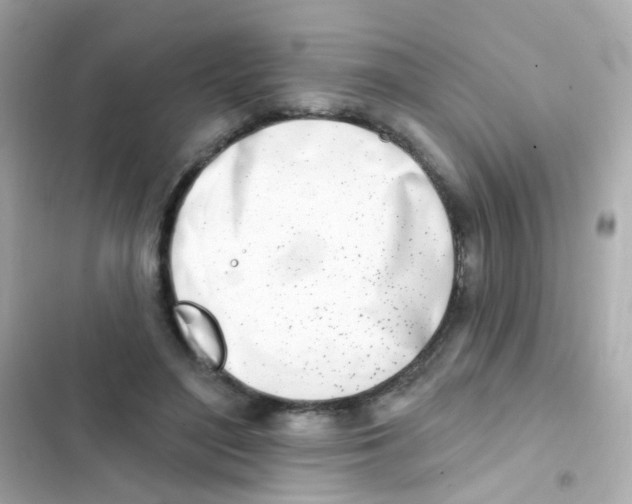 X0000103170500200809192120