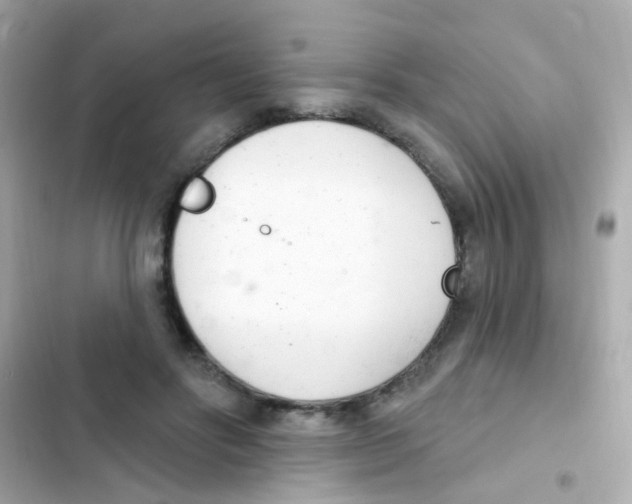 X0000103170502200809192120