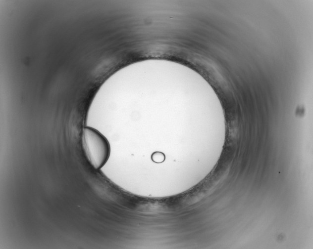 X0000103170503200809192120