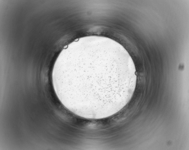 X0000103170504200809192120