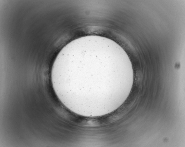 X0000103170506200809192120