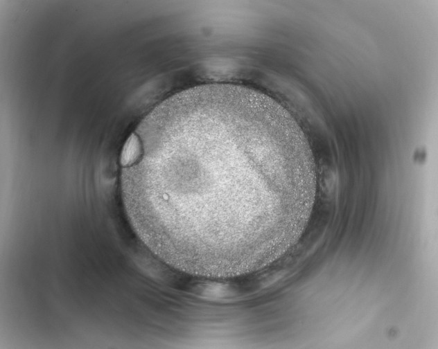 X0000103170507200809192120