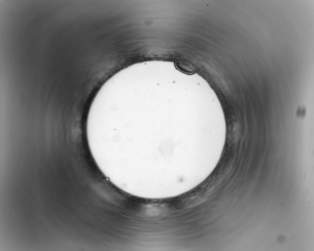 X0000103170508200809192120